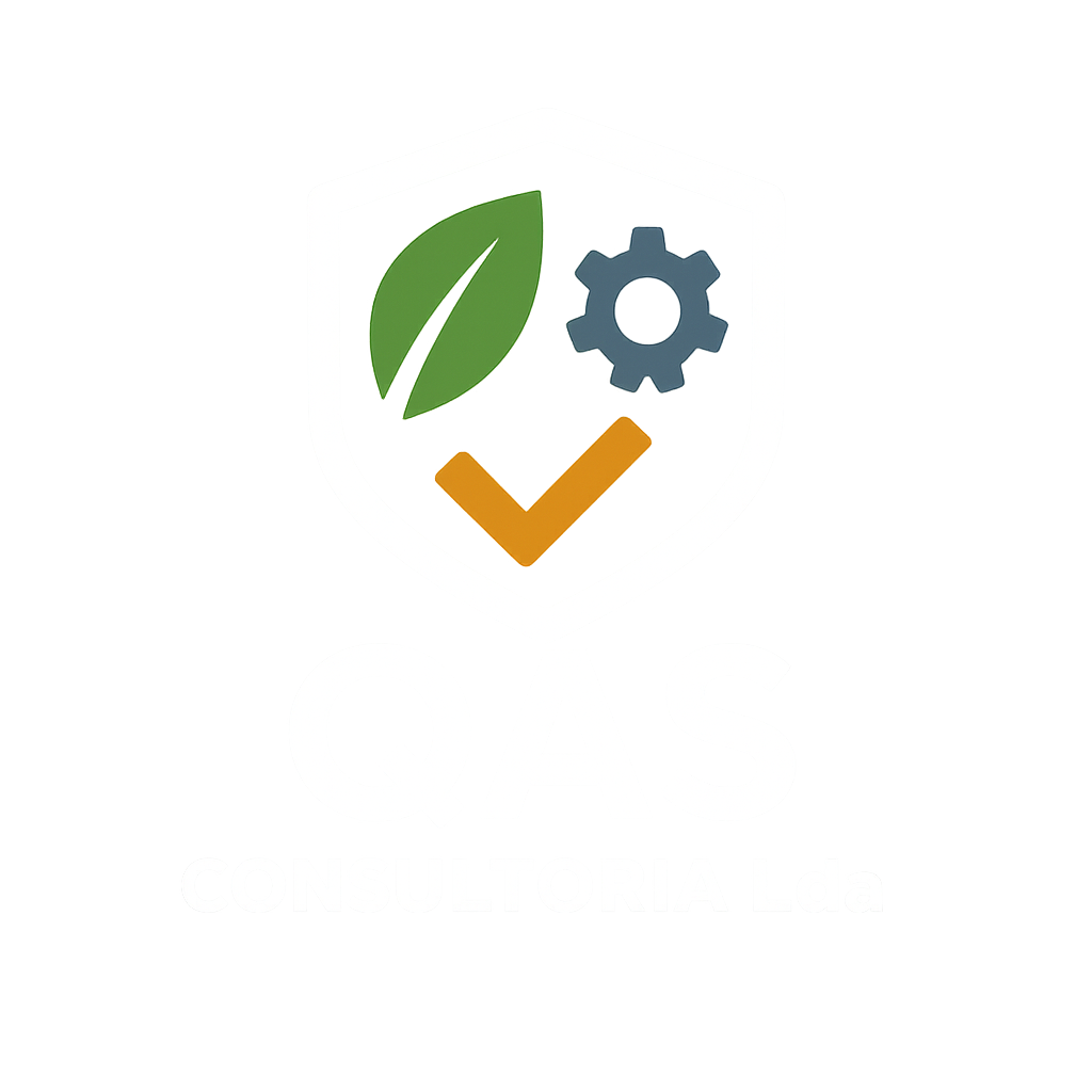 QAS Consultoria Logo